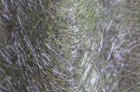 Franklands Gate fibreglass roof work